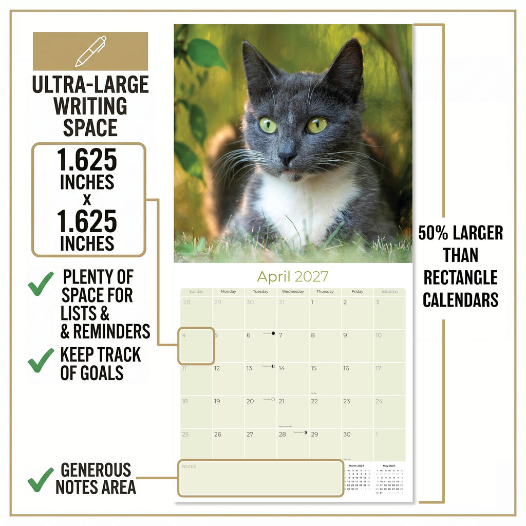 Cats Wall Calendar 2027 - 12" x 12" Monthly Playful Independent House Cat Companion Calendar