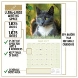 Cats Wall Calendar 2027 - 12" x 12" Monthly Playful Independent House Cat Companion Calendar