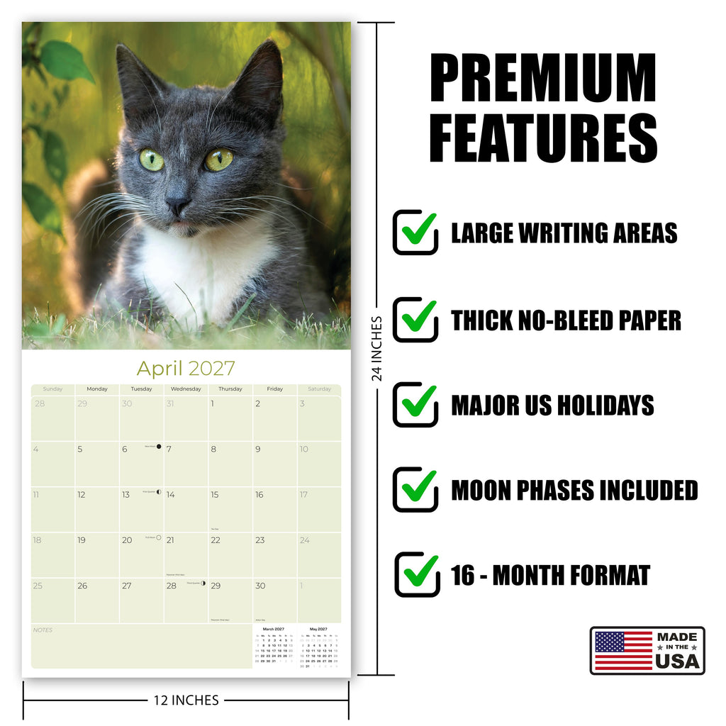 Cats Wall Calendar 2027 - 12" x 12" Monthly Playful Independent House Cat Companion Calendar
