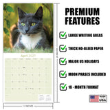 Cats Wall Calendar 2027 - 12" x 12" Monthly Playful Independent House Cat Companion Calendar