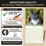 Cats Wall Calendar 2027 - 12" x 12" Monthly Playful Independent House Cat Companion Calendar