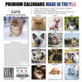 Cats Wall Calendar 2027 - 12" x 12" Monthly Playful Independent House Cat Companion Calendar