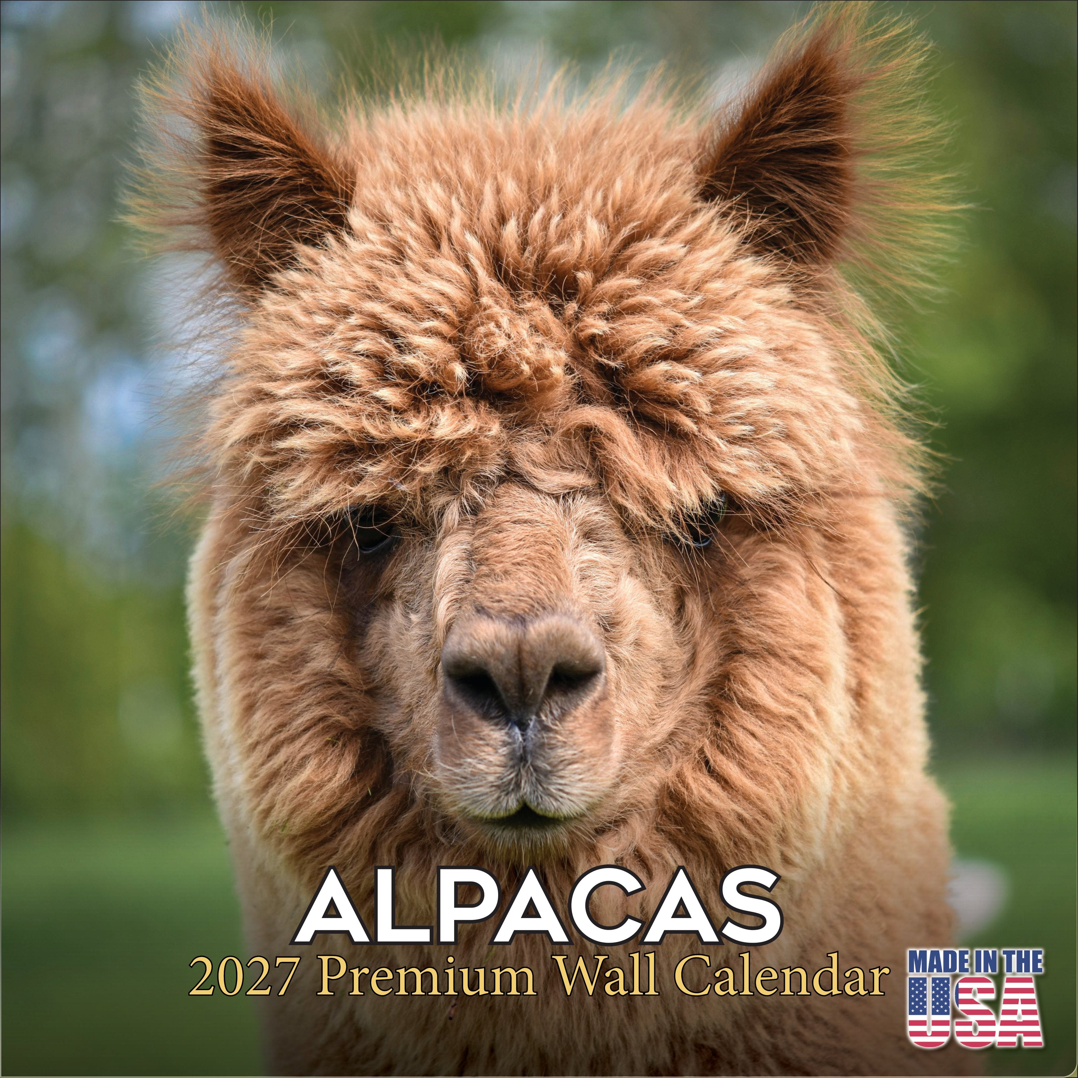 Alpacas Wall Calendar 2027 - 12