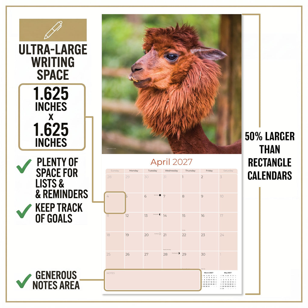 Alpacas Wall Calendar 2027 - 12" x 12" Monthly Farm Animal Herd & Cute Alpaca Art Calendar