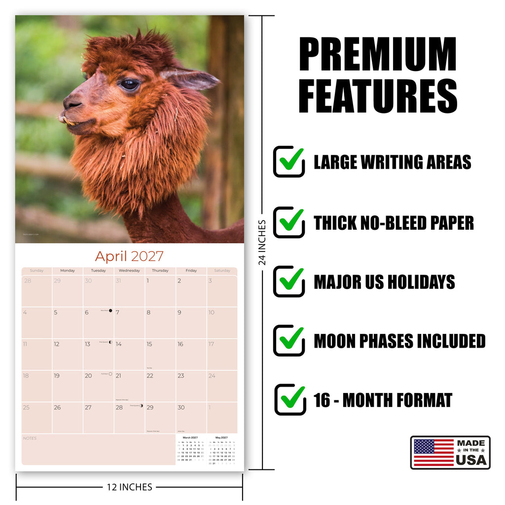 Alpacas Wall Calendar 2027 - 12" x 12" Monthly Farm Animal Herd & Cute Alpaca Art Calendar
