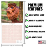Alpacas Wall Calendar 2027 - 12" x 12" Monthly Farm Animal Herd & Cute Alpaca Art Calendar