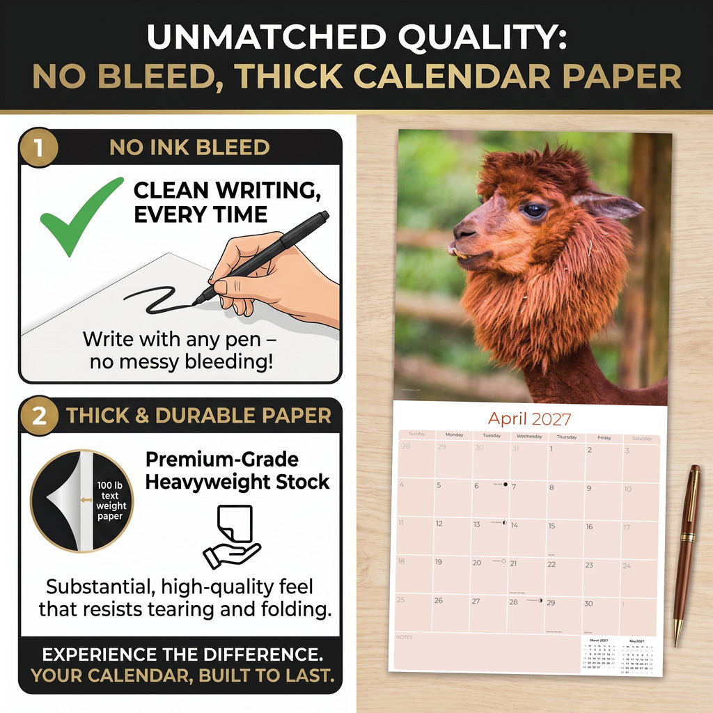 Alpacas Wall Calendar 2027 - 12" x 12" Monthly Farm Animal Herd & Cute Alpaca Art Calendar