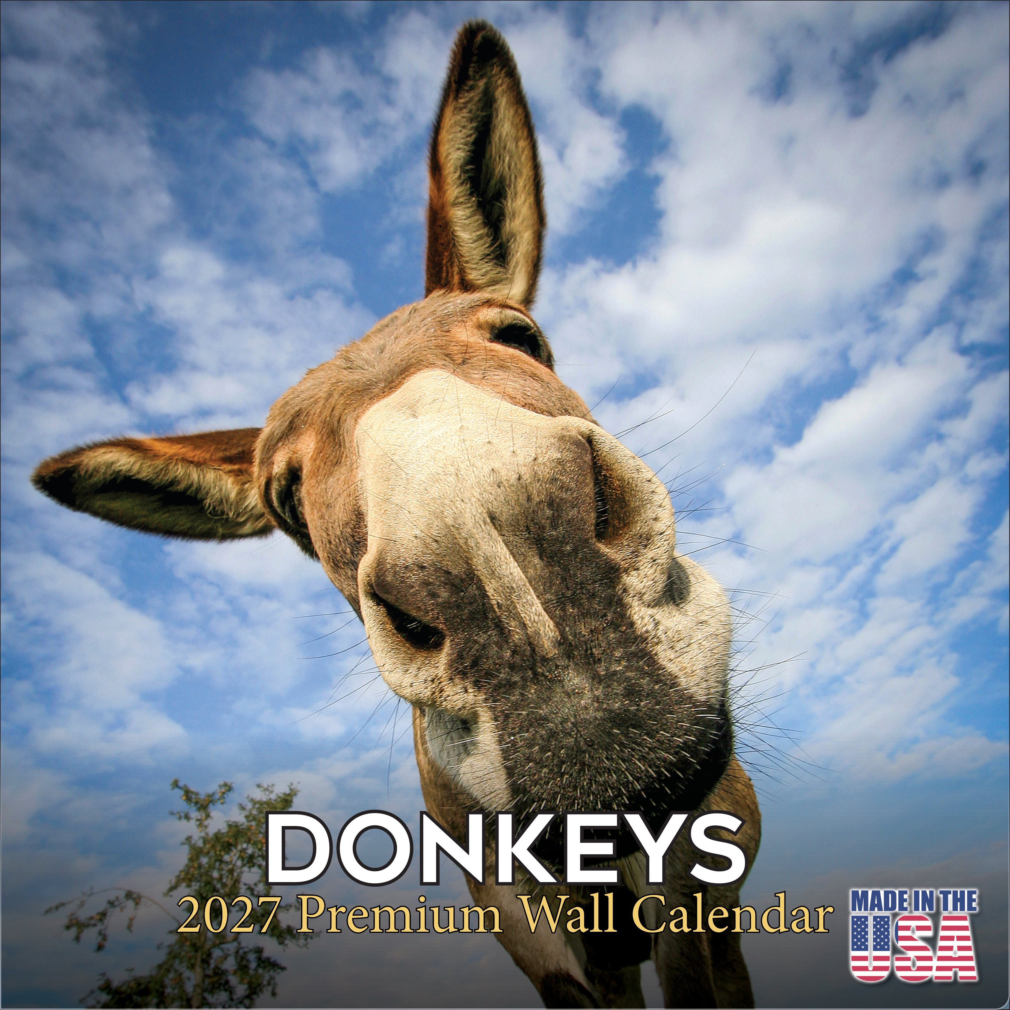 Donkeys Wall Calendar 2027 - 12