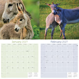 Donkeys Wall Calendar 2027 - 12" x 12" Monthly Charming Farm Equine & Long Eared Donkey Calendar