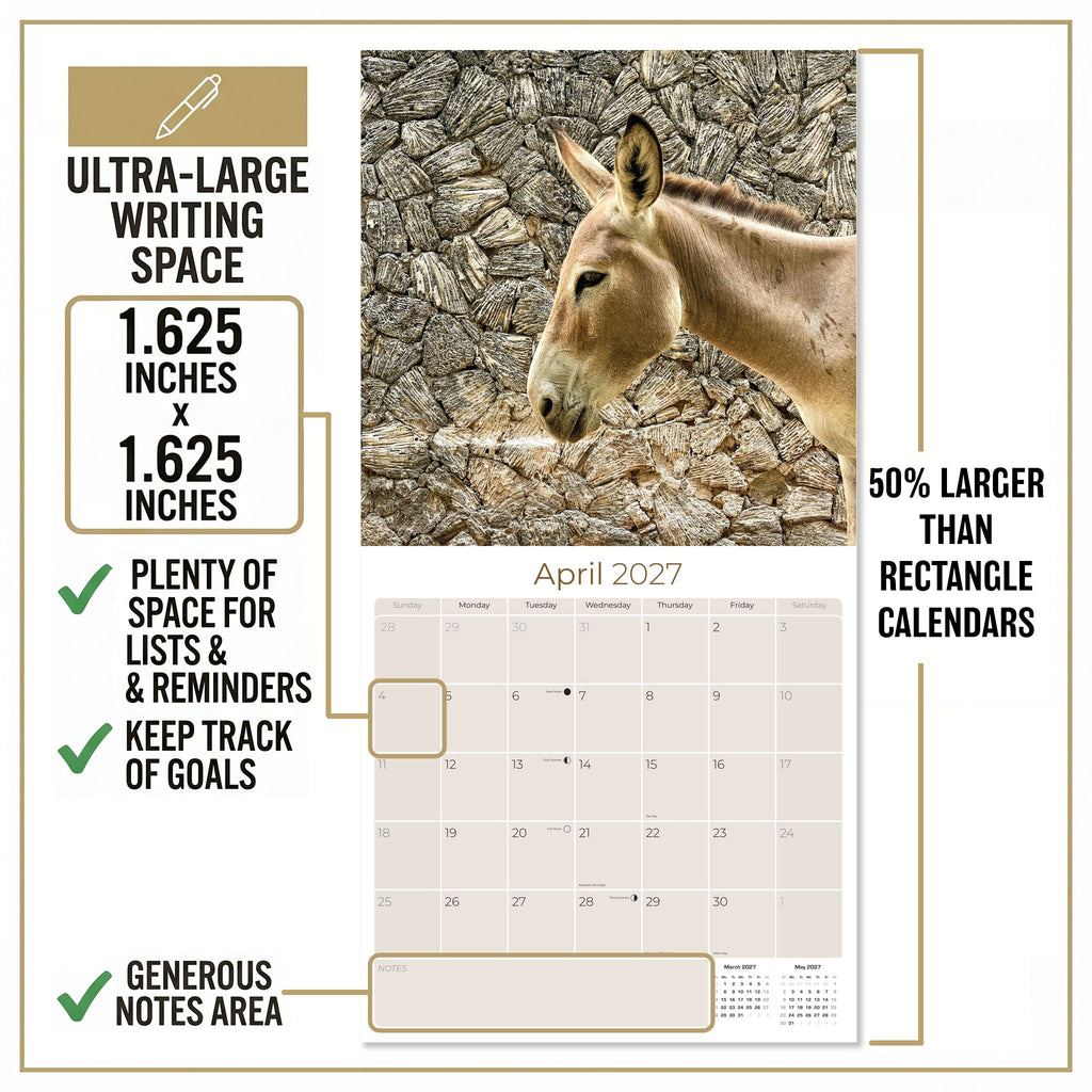 Donkeys Wall Calendar 2027 - 12" x 12" Monthly Charming Farm Equine & Long Eared Donkey Calendar
