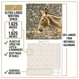 Donkeys Wall Calendar 2027 - 12" x 12" Monthly Charming Farm Equine & Long Eared Donkey Calendar