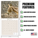 Donkeys Wall Calendar 2027 - 12" x 12" Monthly Charming Farm Equine & Long Eared Donkey Calendar