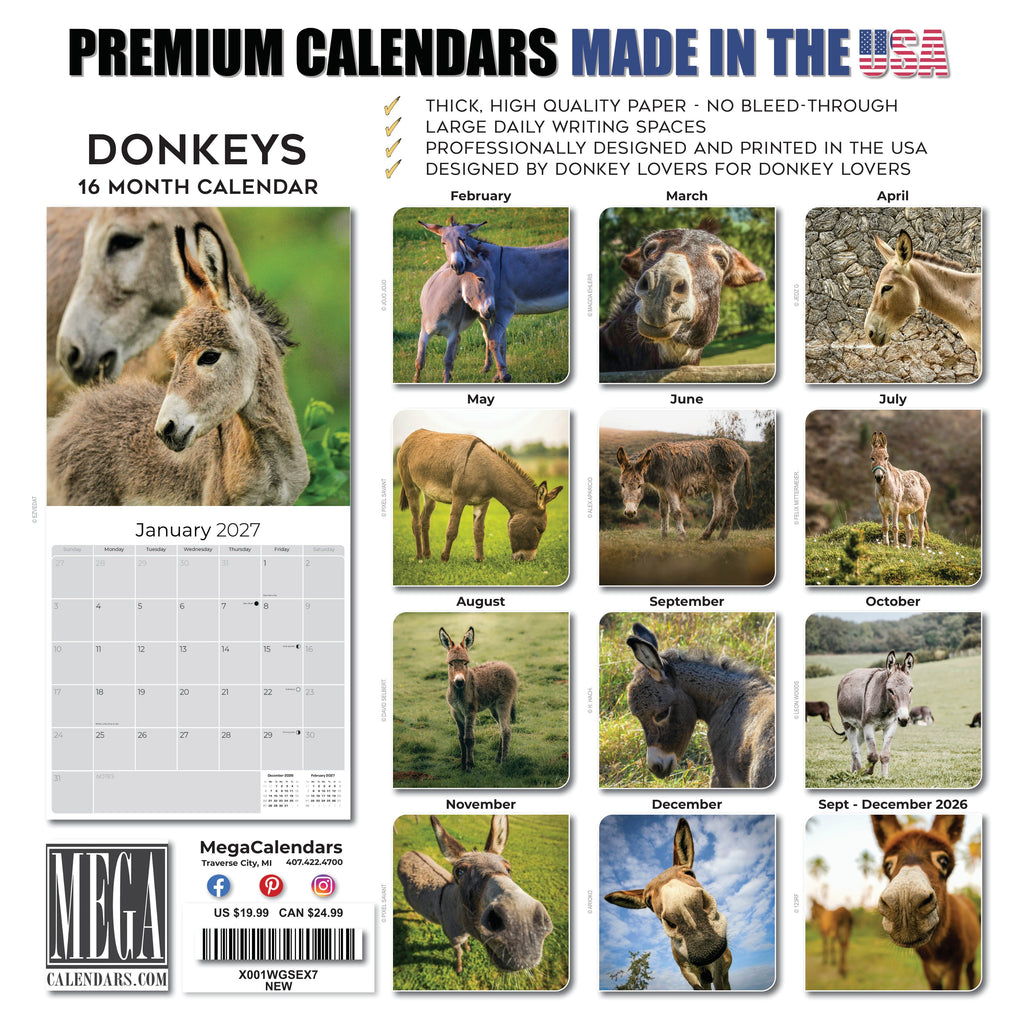 Donkeys Wall Calendar 2027 - 12" x 12" Monthly Charming Farm Equine & Long Eared Donkey Calendar