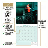Chickens Wall Calendar 2027 - 12" x 12" Monthly Colorful Plucky Backyard Poultry Farm Calendar