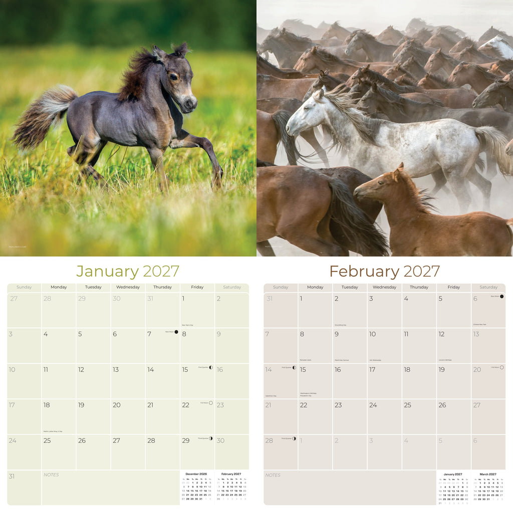Arabian Horses Wall Calendar 2027 - 12" x 12" Monthly Elegant & Spirited Desert Equine Art Calendar