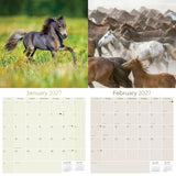 Arabian Horses Wall Calendar 2027 - 12" x 12" Monthly Elegant & Spirited Desert Equine Art Calendar