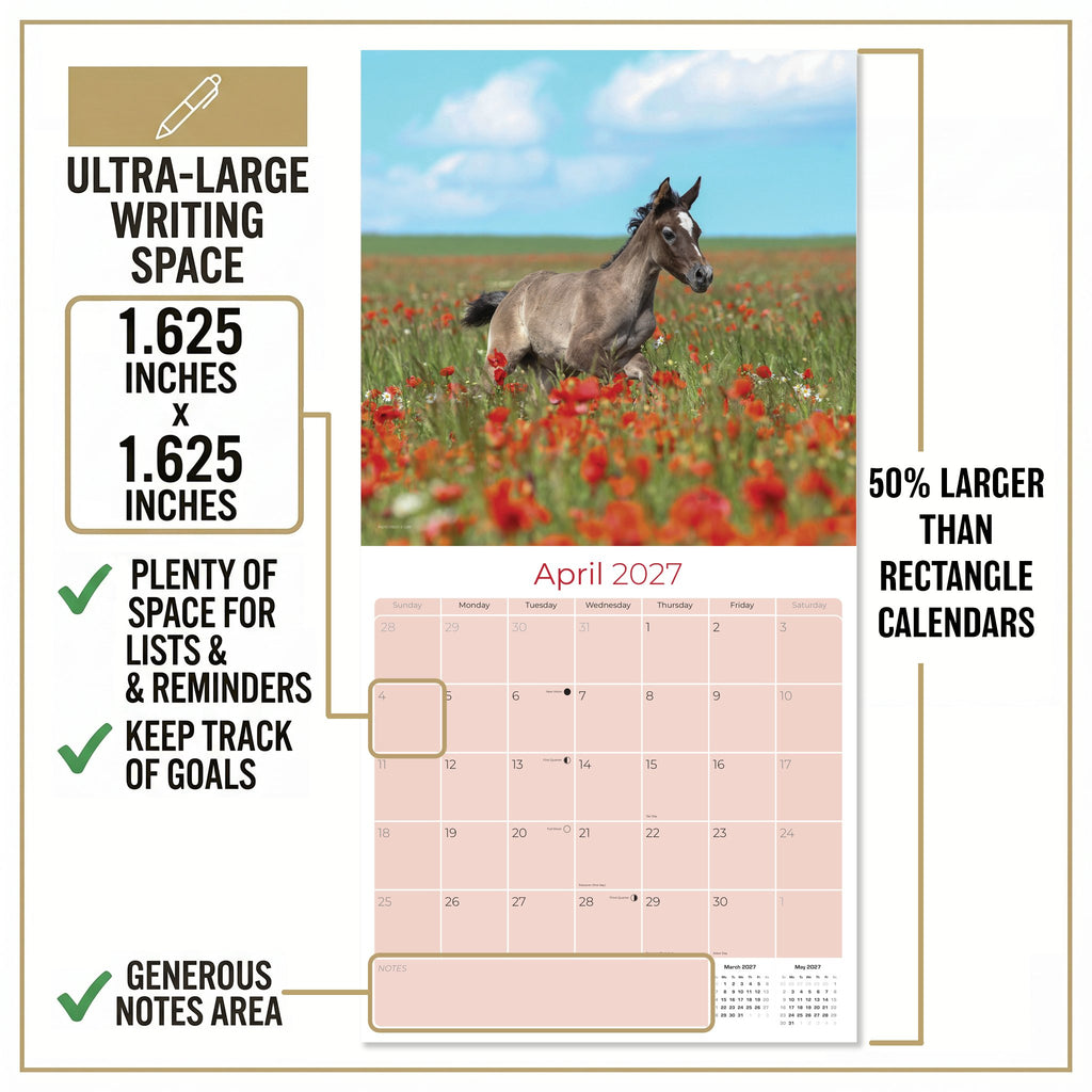Arabian Horses Wall Calendar 2027 - 12" x 12" Monthly Elegant & Spirited Desert Equine Art Calendar