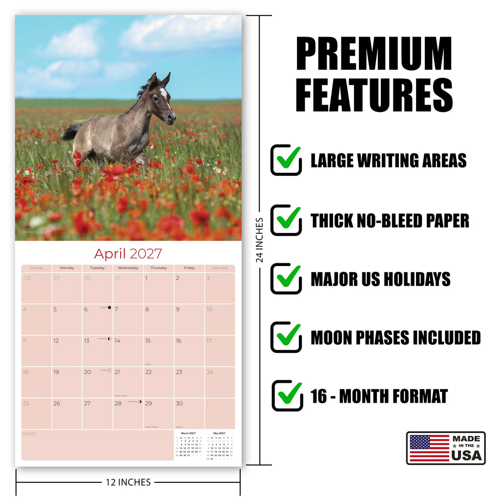 Arabian Horses Wall Calendar 2027 - 12" x 12" Monthly Elegant & Spirited Desert Equine Art Calendar