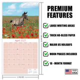 Arabian Horses Wall Calendar 2027 - 12" x 12" Monthly Elegant & Spirited Desert Equine Art Calendar