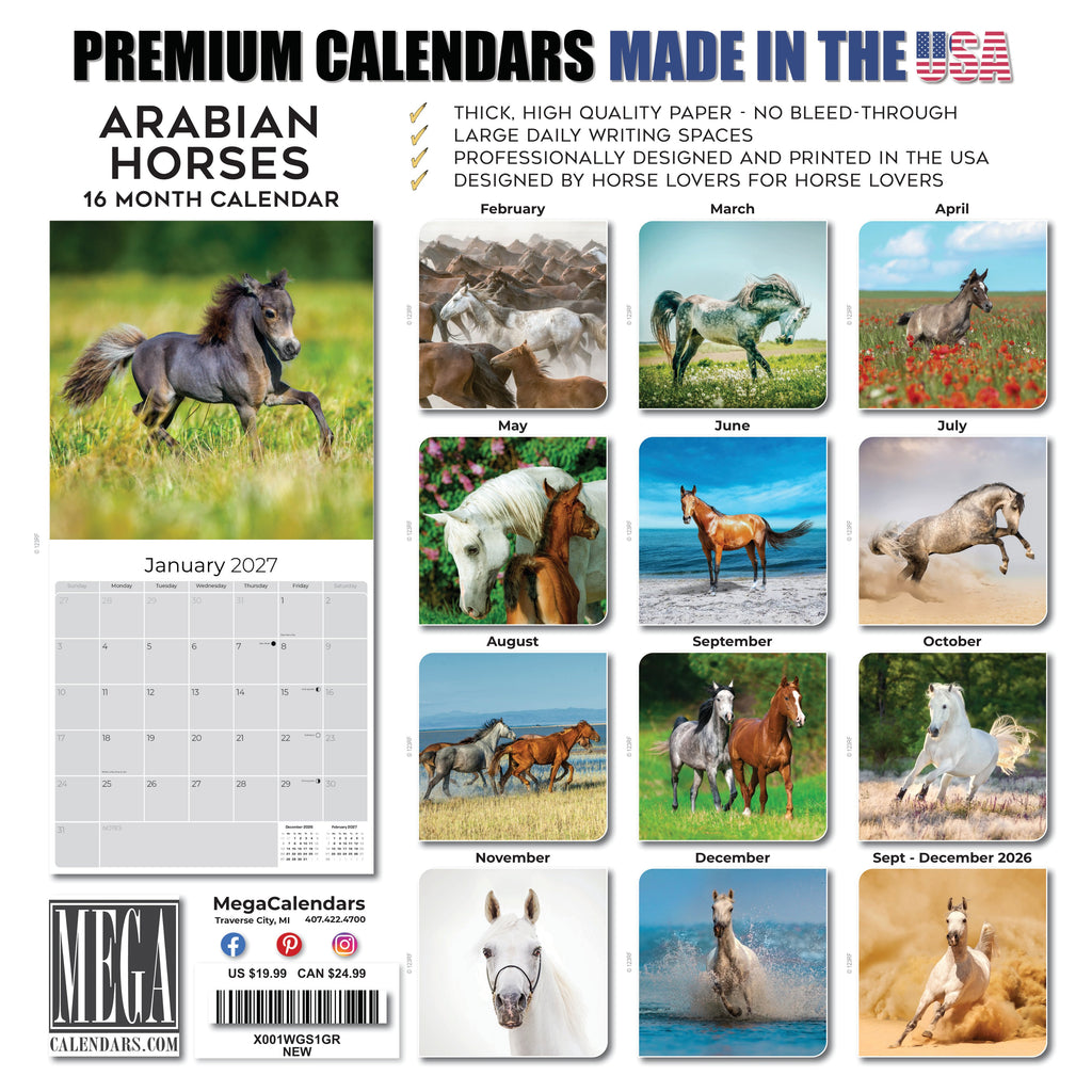 Arabian Horses Wall Calendar 2027 - 12" x 12" Monthly Elegant & Spirited Desert Equine Art Calendar