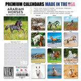 Arabian Horses Wall Calendar 2027 - 12" x 12" Monthly Elegant & Spirited Desert Equine Art Calendar