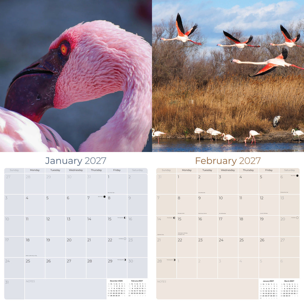 Flamingo Wall Calendar 2027 - 12" x 12" Monthly Vibrant Pink Flamingo Tropical Wading Bird Calendar