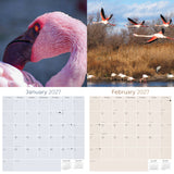Flamingo Wall Calendar 2027 - 12" x 12" Monthly Vibrant Pink Flamingo Tropical Wading Bird Calendar