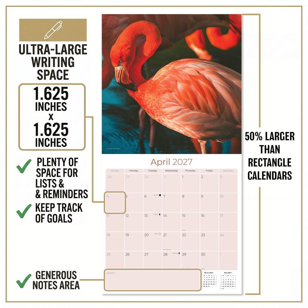 Flamingo Wall Calendar 2027 - 12" x 12" Monthly Vibrant Pink Flamingo Tropical Wading Bird Calendar
