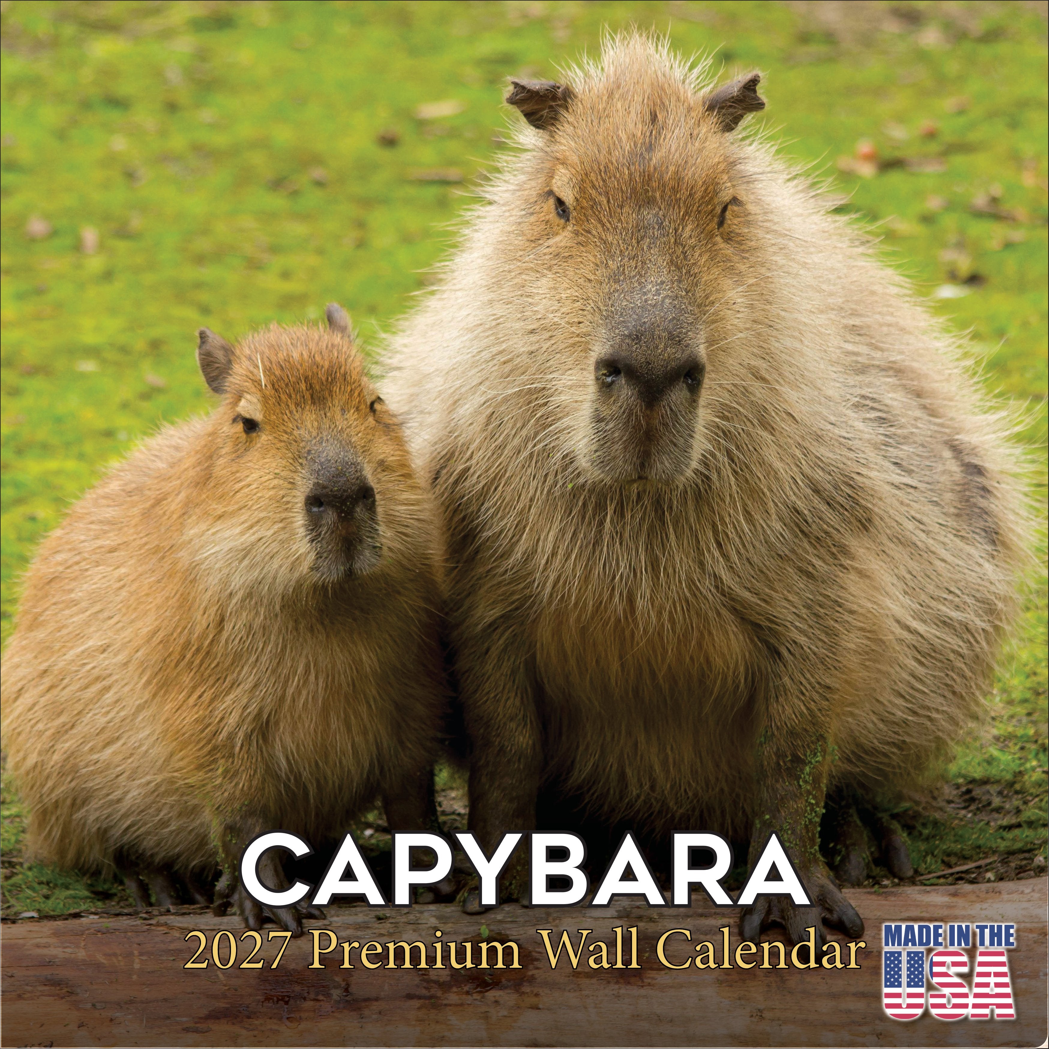 Capybara Wall Calendar 2027 - 12