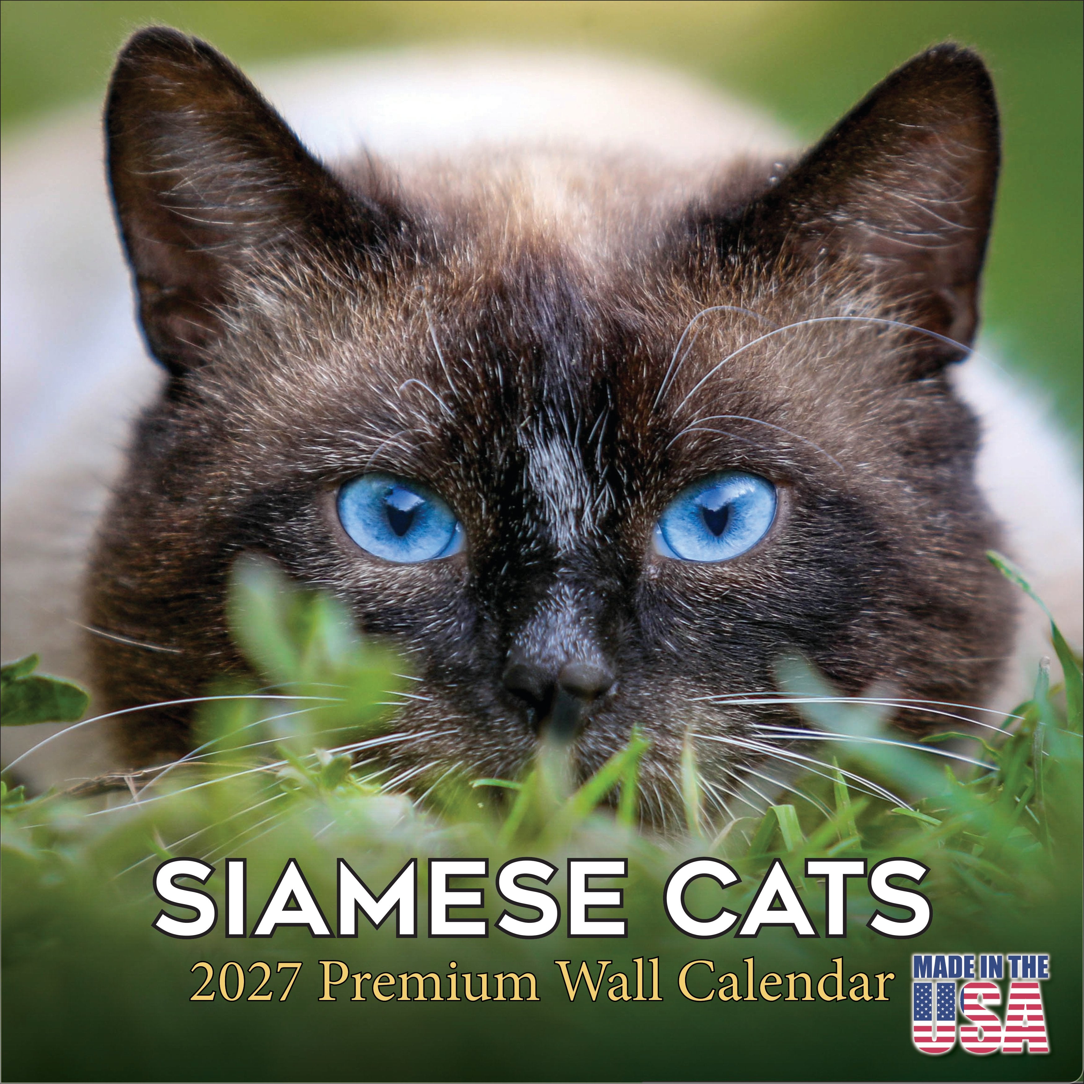 Siamese Cats Wall Calendar 2027 - 12