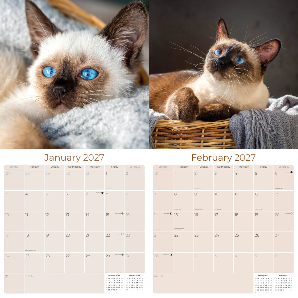 Siamese Cats Wall Calendar 2027 - 12" x 12" Monthly Intelligent & Sleek Blue-Eyed Feline Companion Calendar