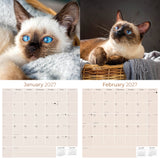 Siamese Cats Wall Calendar 2027 - 12" x 12" Monthly Intelligent & Sleek Blue-Eyed Feline Companion Calendar