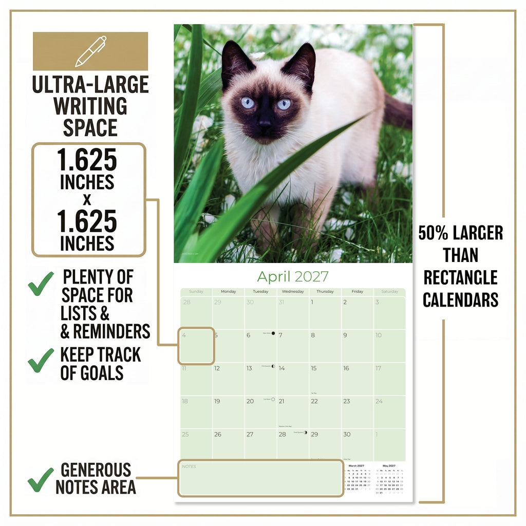 Siamese Cats Wall Calendar 2027 - 12" x 12" Monthly Intelligent & Sleek Blue-Eyed Feline Companion Calendar