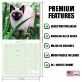 Siamese Cats Wall Calendar 2027 - 12" x 12" Monthly Intelligent & Sleek Blue-Eyed Feline Companion Calendar