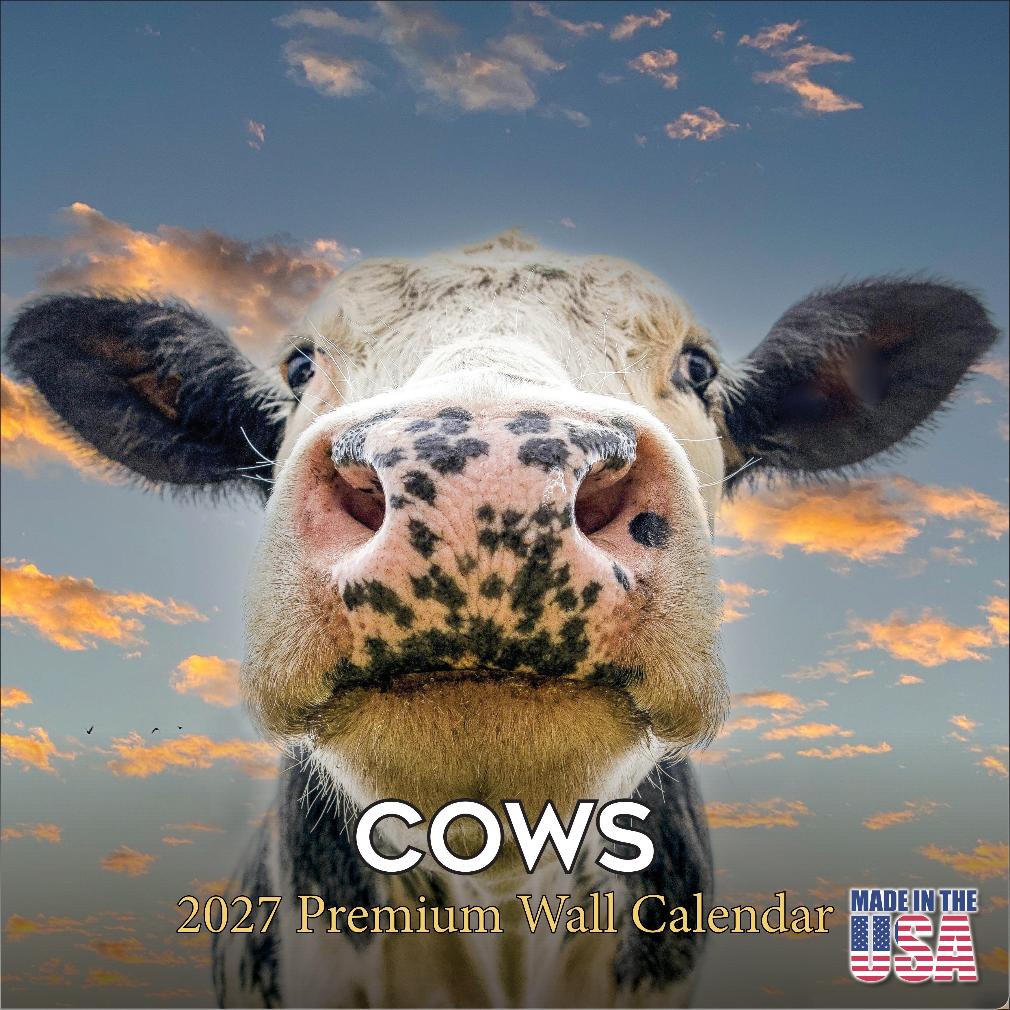 Cows Wall Calendar 2027 - 12
