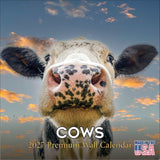 Cows Wall Calendar 2027 - 12" x 12" Monthly Gentle & Pastoral Farm Pasture Cattle Calendar