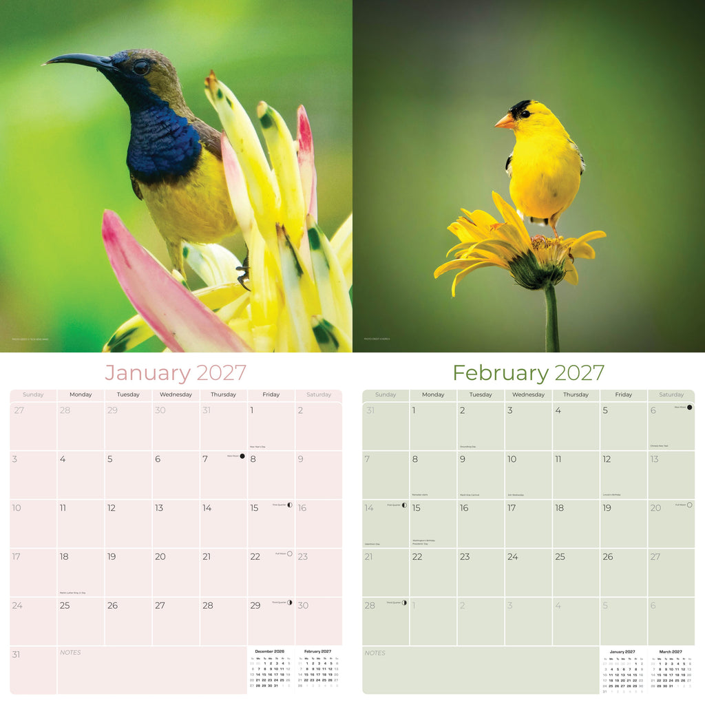 Garden Birds Wall Calendar 2027 - 12" x 12" Monthly Beautiful Songbirds & Colorful Backyard Wild Birds Calendar