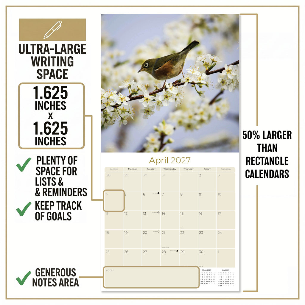 Garden Birds Wall Calendar 2027 - 12" x 12" Monthly Beautiful Songbirds & Colorful Backyard Wild Birds Calendar