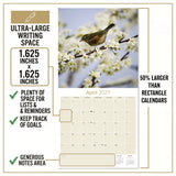 Garden Birds Wall Calendar 2027 - 12" x 12" Monthly Beautiful Songbirds & Colorful Backyard Wild Birds Calendar