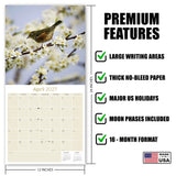 Garden Birds Wall Calendar 2027 - 12" x 12" Monthly Beautiful Songbirds & Colorful Backyard Wild Birds Calendar