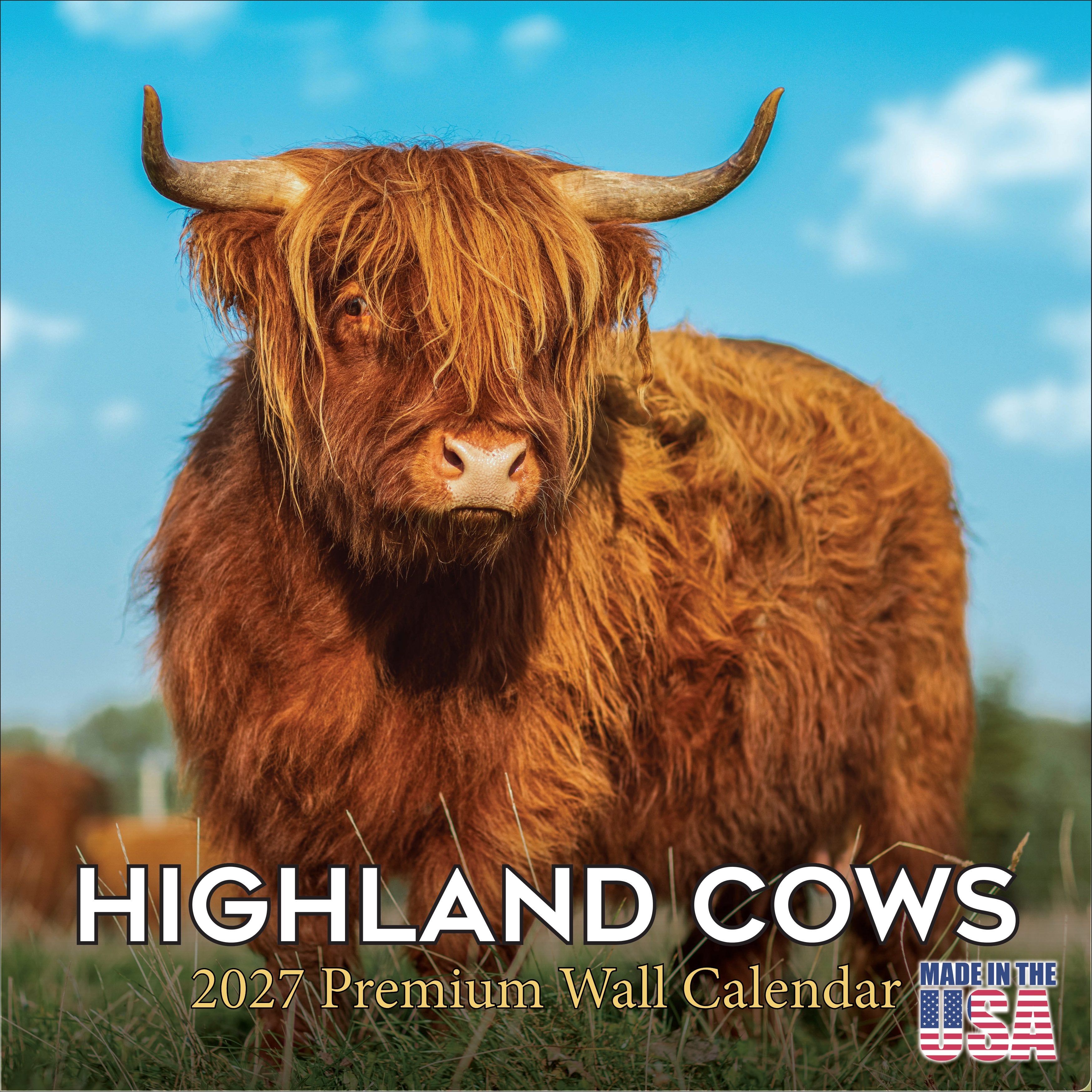 Highland Cows Wall Calendar 2027 - 12