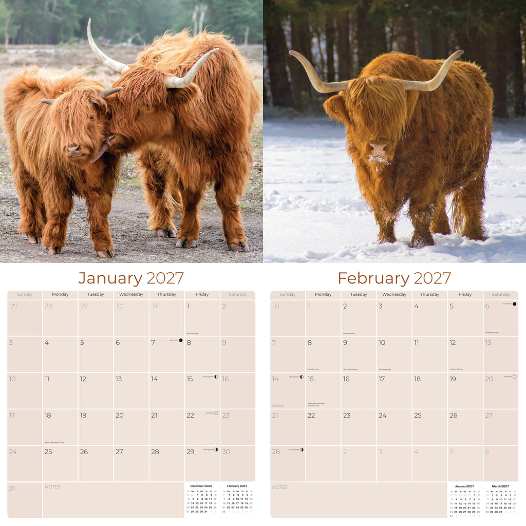Highland Cows Wall Calendar 2027 - 12" x 12" Monthly Rustic Cattle & Scottish Highland Cow Calendar