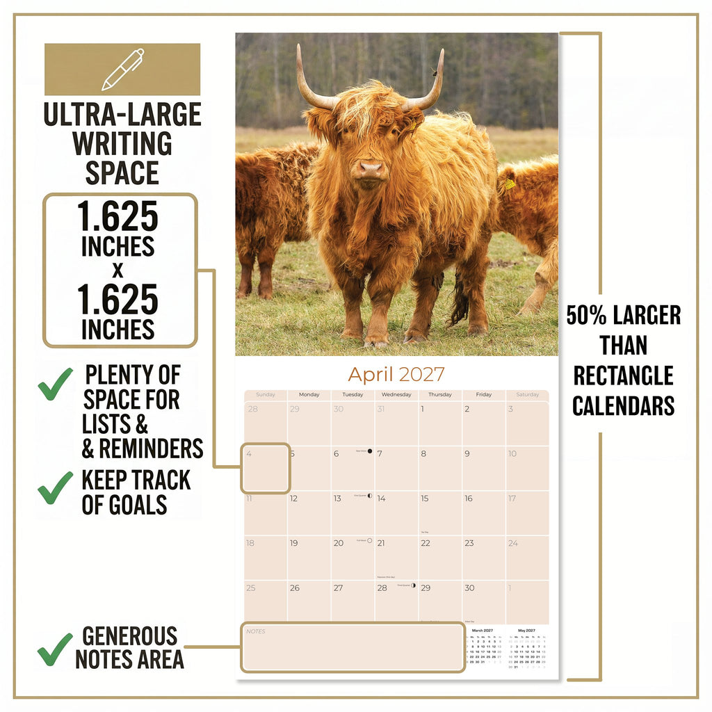 Highland Cows Wall Calendar 2027 - 12" x 12" Monthly Rustic Cattle & Scottish Highland Cow Calendar