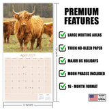 Highland Cows Wall Calendar 2027 - 12" x 12" Monthly Rustic Cattle & Scottish Highland Cow Calendar