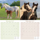 Horses Wall Calendar 2027 - 12" x 12" Monthly Majestic Equine & Galloping Stallion Fine Art Calendar