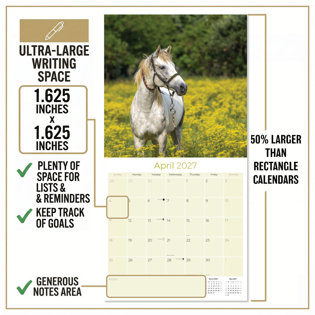 Horses Wall Calendar 2027 - 12" x 12" Monthly Majestic Equine & Galloping Stallion Fine Art Calendar