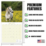 Horses Wall Calendar 2027 - 12" x 12" Monthly Majestic Equine & Galloping Stallion Fine Art Calendar