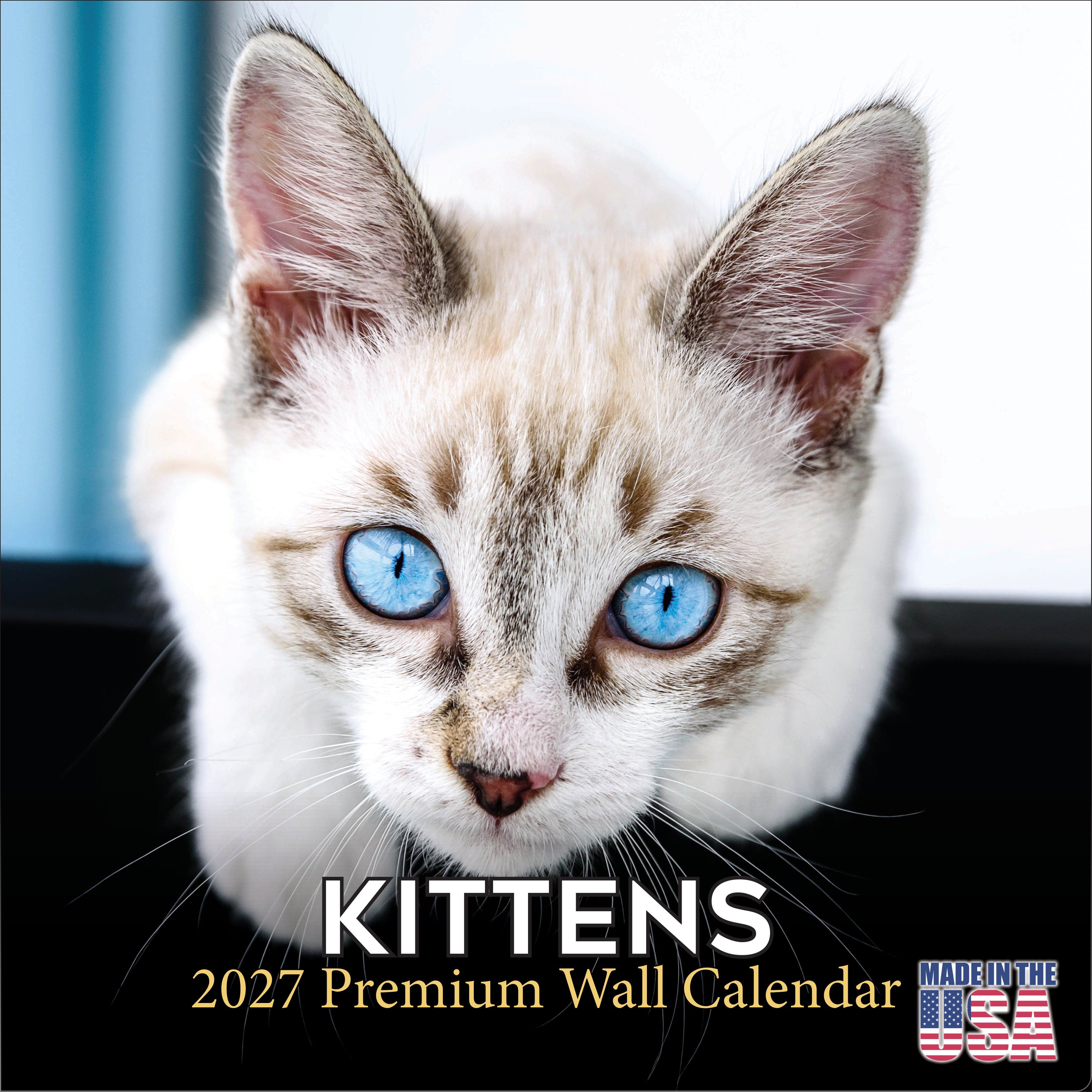 Kittens Wall Calendar 2027 - 12