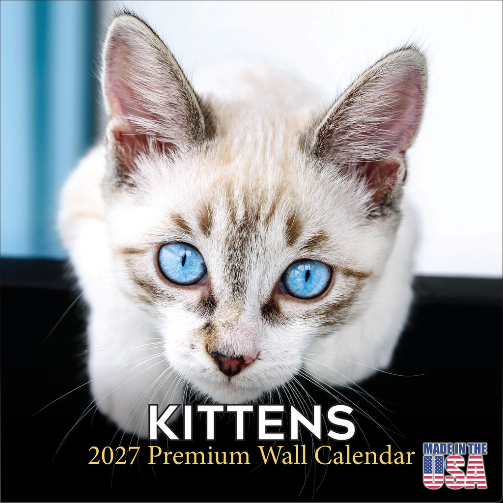 Kittens Wall Calendar 2027 - 12" x 12" Monthly Adorable Felines & Fluffy House Cat Pups Calendar