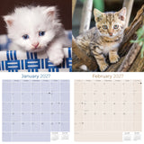 Kittens Wall Calendar 2027 - 12" x 12" Monthly Adorable Felines & Fluffy House Cat Pups Calendar